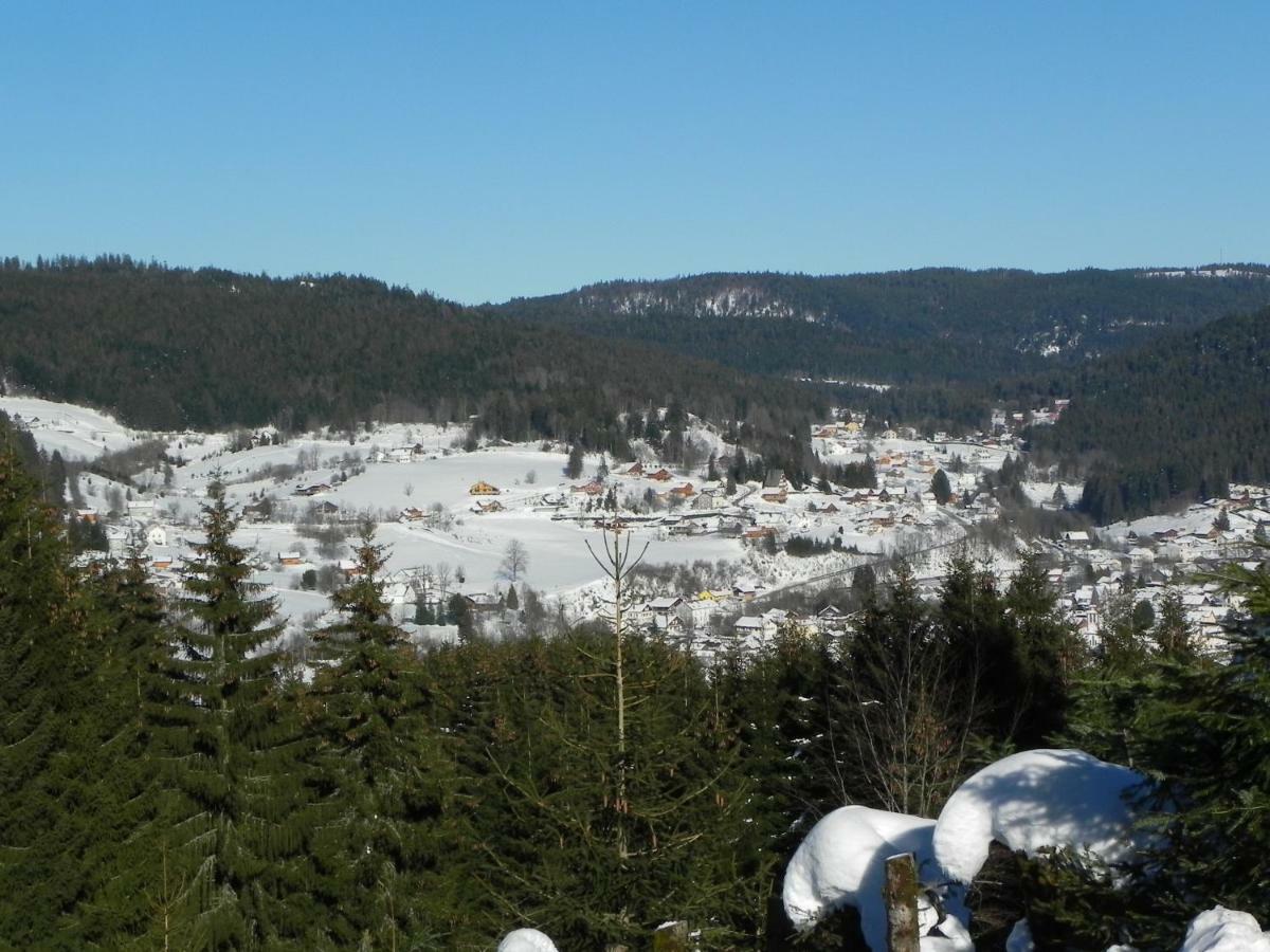 Appt 3* Le Haut Des Lacs Xonrupt-Longemer Eksteriør billede